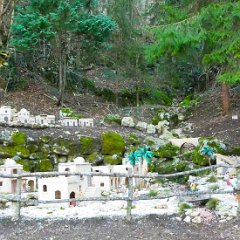 P1160640   Il più grande.